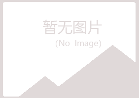 城区从梦化学有限公司